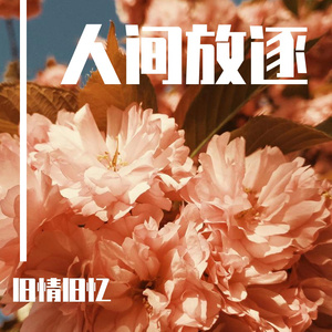 妲己把裤子脱了打开腿让人
